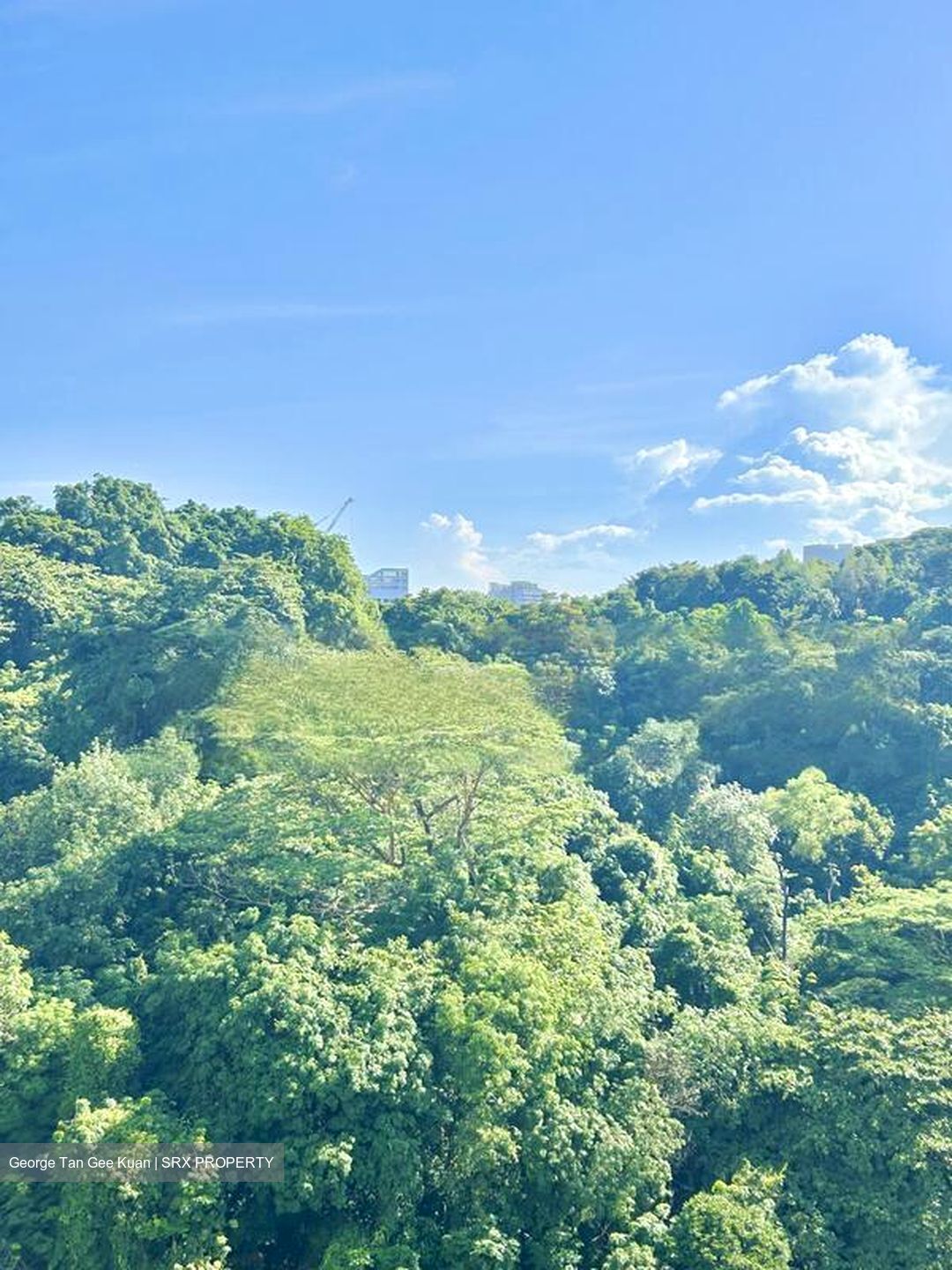 Blk 103A Depot Heights (Bukit Merah), HDB 4 Rooms #480593481